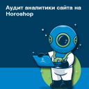 Аудит аналитики сайта на Horoshop