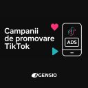 Campanii de promovare pe TikTok