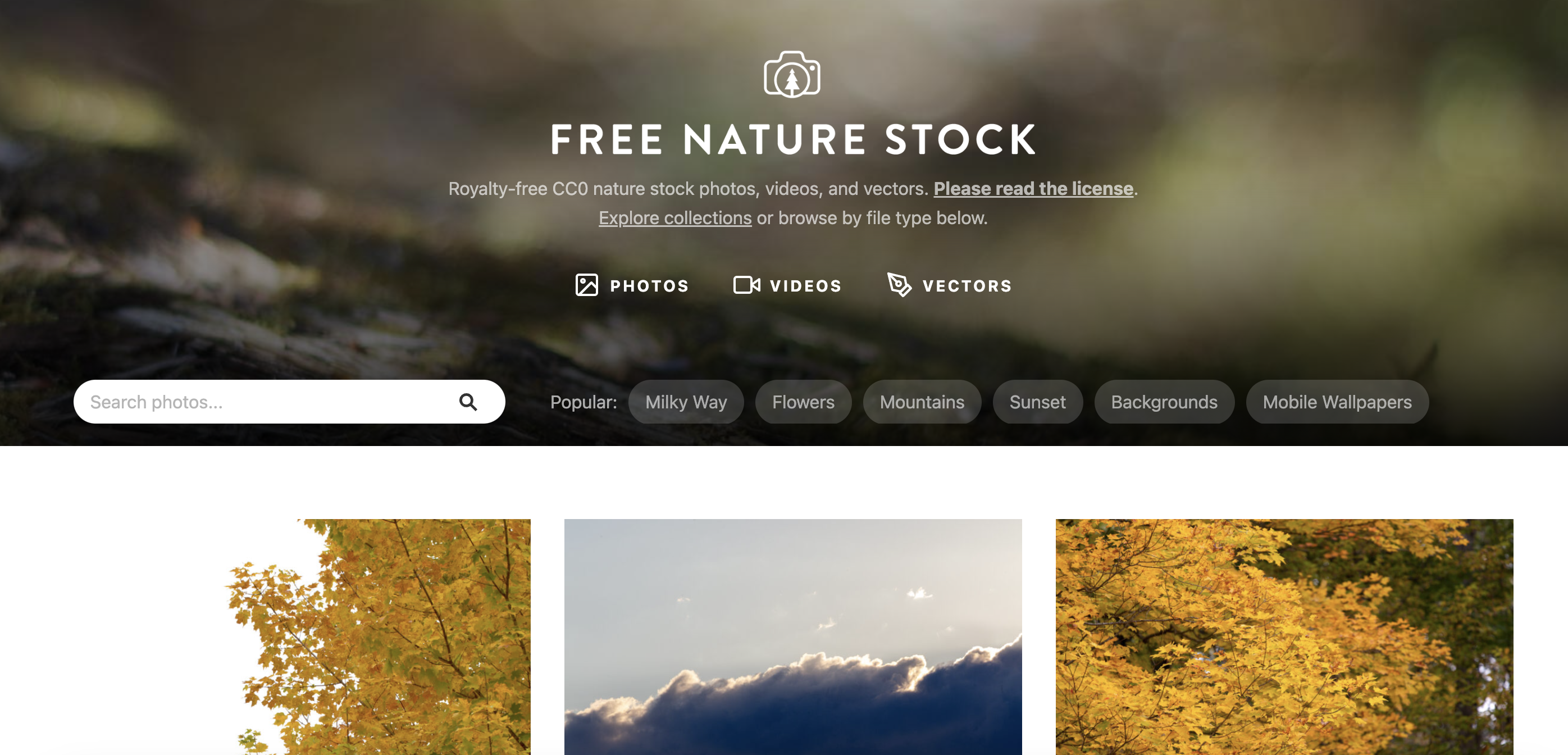 Free Nature Stock